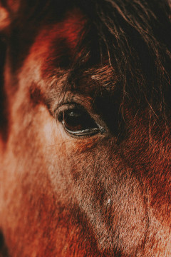 Pexels matreding 7085828